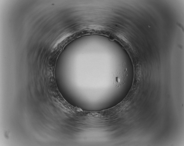 X0000102261112200808011358