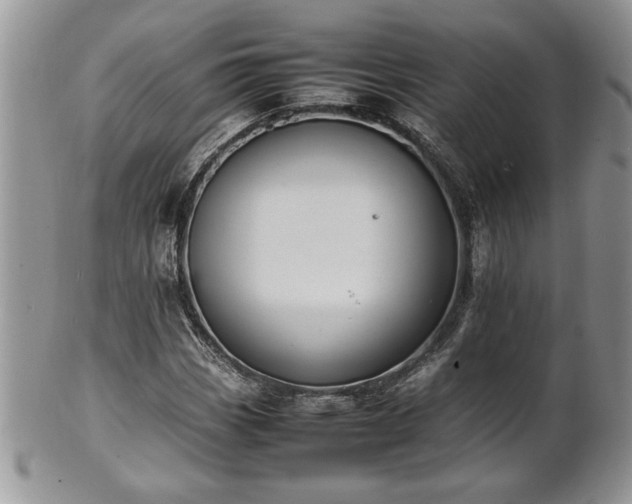 X0000102261113200808011358