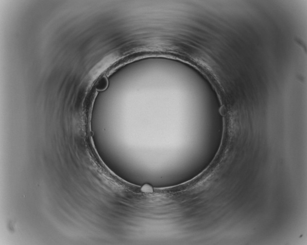 X0000102261114200808011358