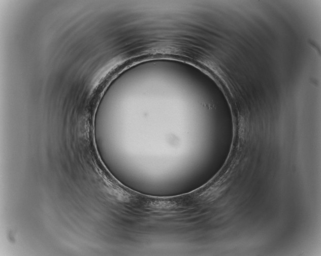 X0000102261115200808011358