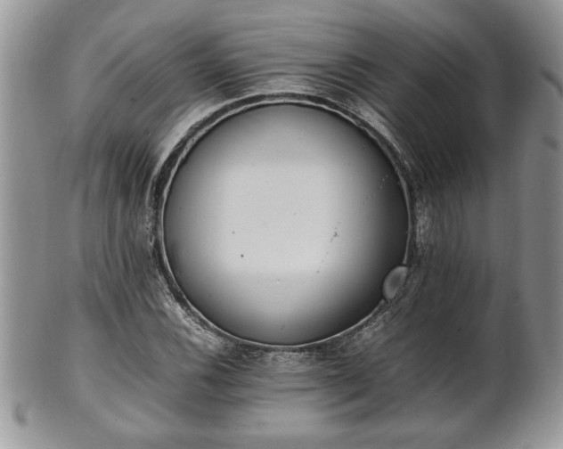 X0000102261116200808011358