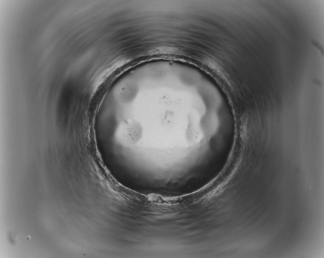 X0000102261117200808011358