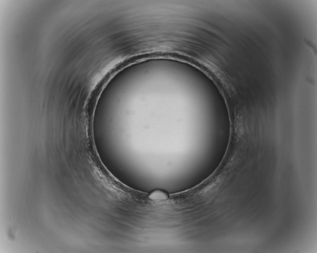 X0000102261118200808011358