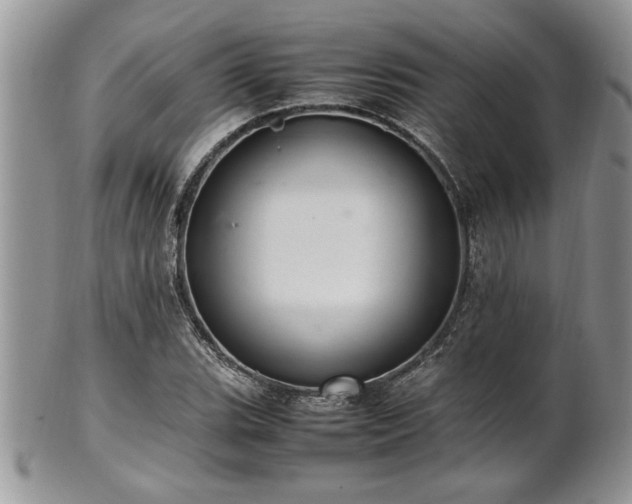 X0000102261119200808011358