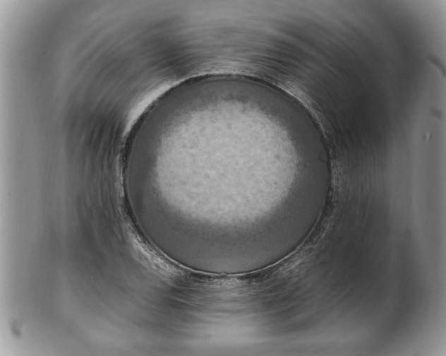 X0000102261120200808011358