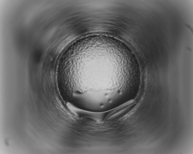 X0000102261121200808011358