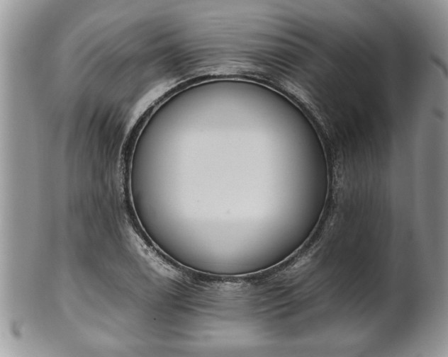 X0000102261122200808011358