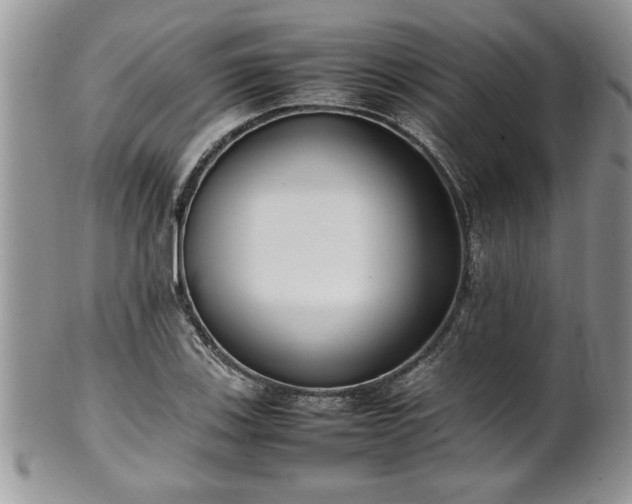 X0000102261123200808011358