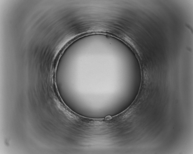 X0000102261124200808011358