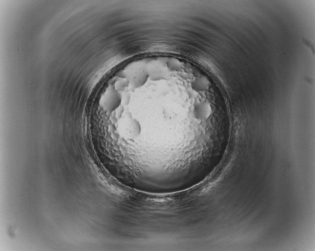 X0000102261125200808011358