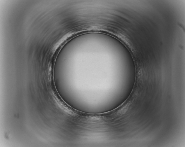 X0000102261126200808011358