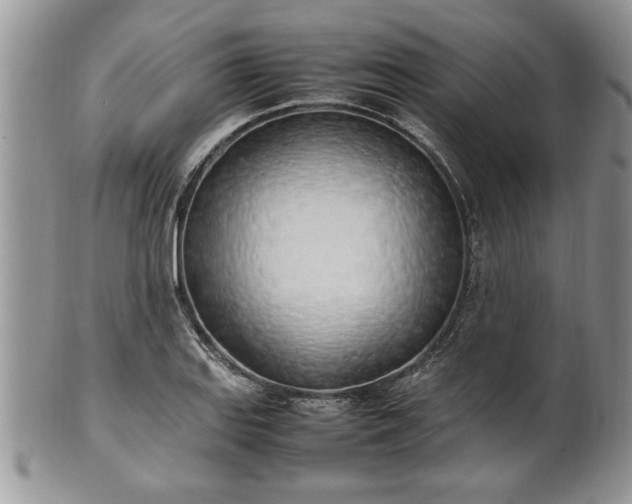 X0000102261127200808011358