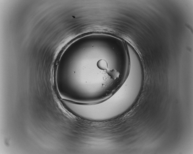 X0000102261128200808011358