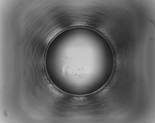 X0000102261129200808011358