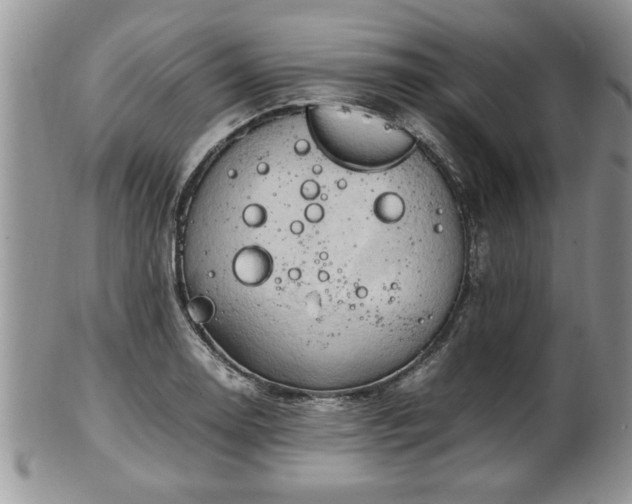 X0000102261130200808011358