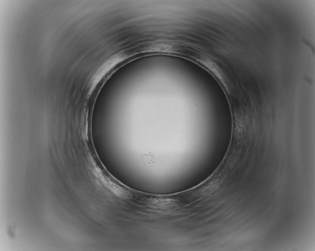 X0000102261131200808011358