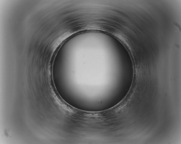 X0000102261133200808011358