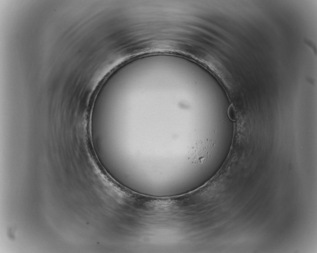 X0000102261134200808011358