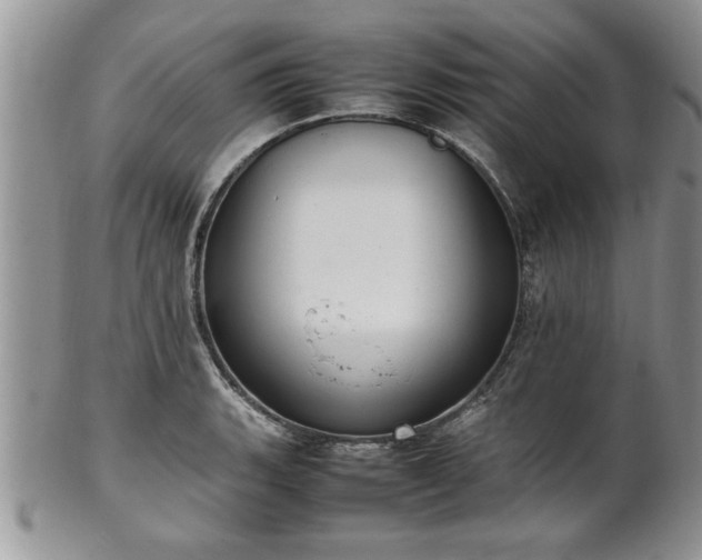 X0000102261135200808011358