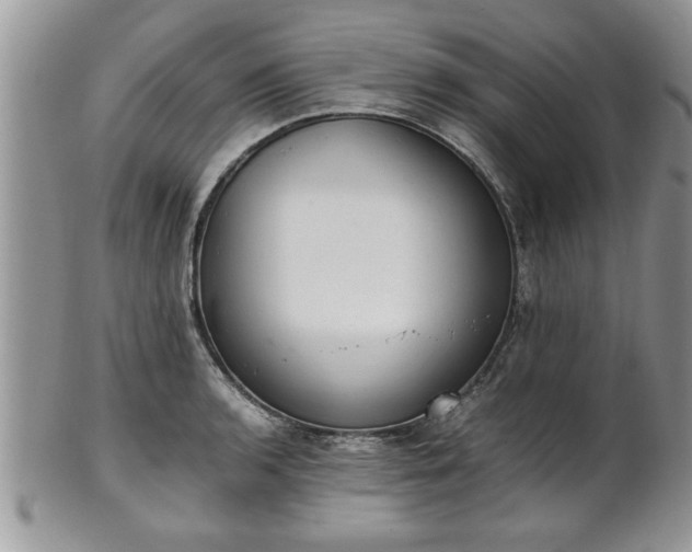 X0000102261136200808011358