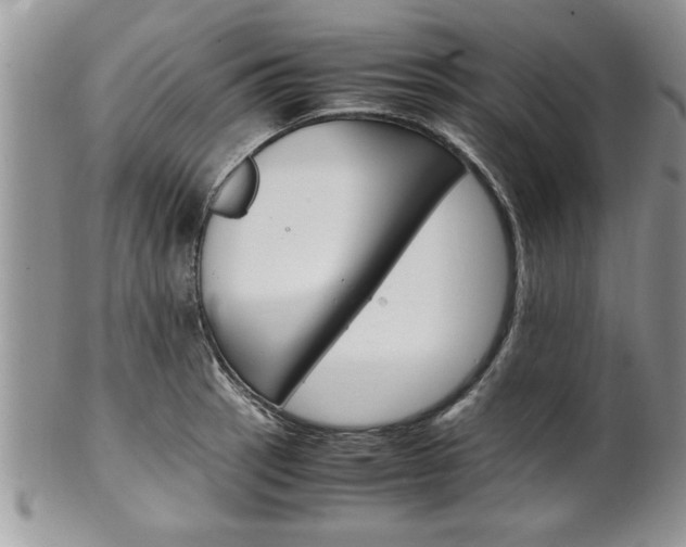 X0000102261137200808011358