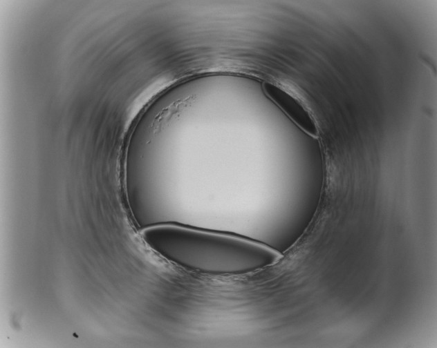 X0000102261138200808011358