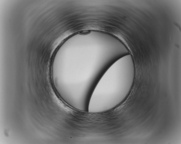 X0000102261139200808011358