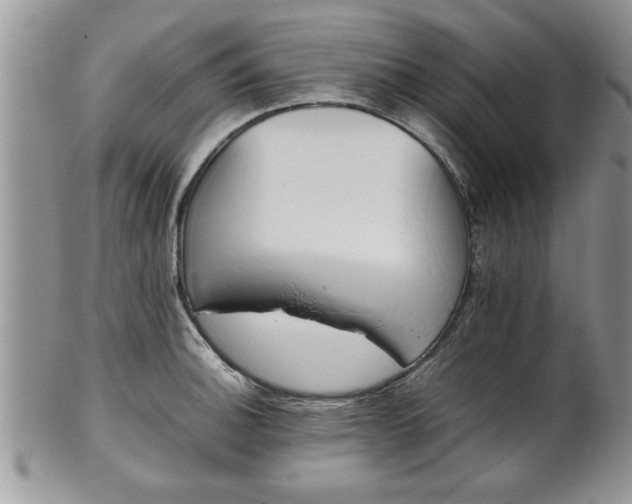 X0000102261140200808011358