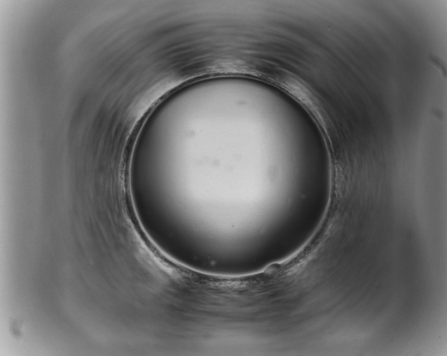 X0000102261141200808011358