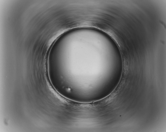 X0000102261142200808011359