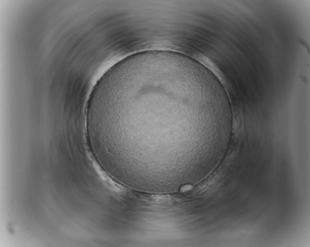 X0000102261144200808011359