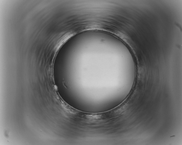 X0000102261145200808011359