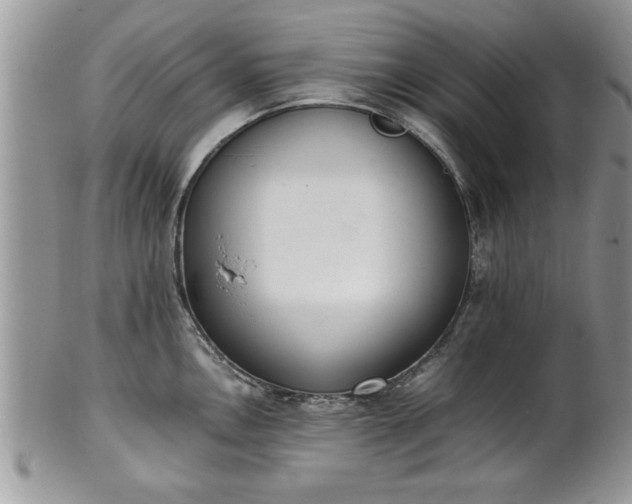 X0000102261146200808011359