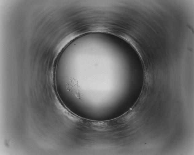 X0000102261147200808011359