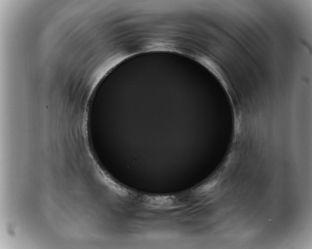 X0000102261149200808011359