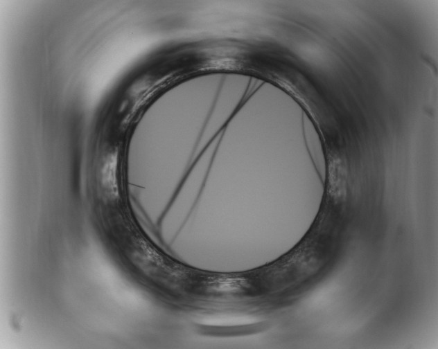 X0000102261150200808011359