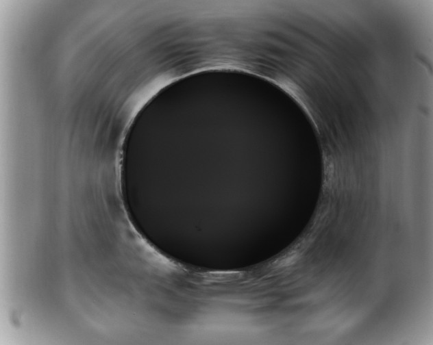 X0000102261151200808011359