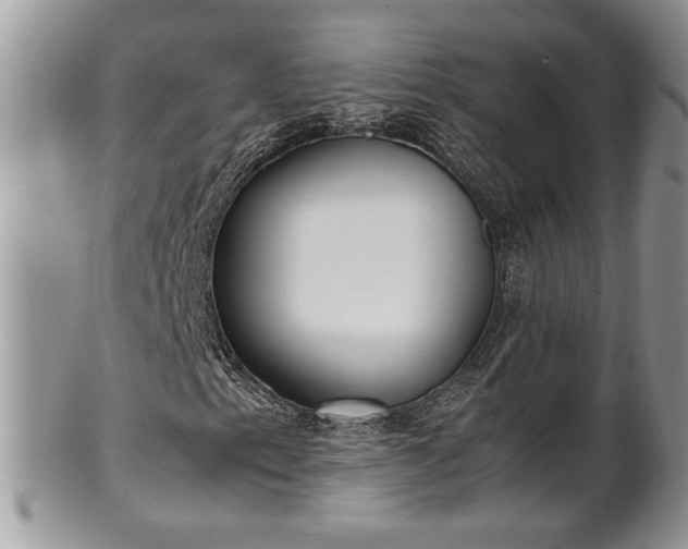 X0000102261153200808011358