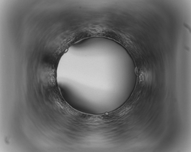 X0000102261156200808011358