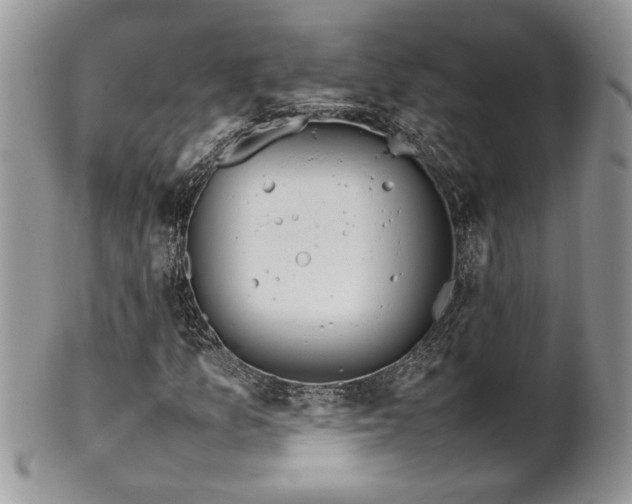 X0000102261157200808011358