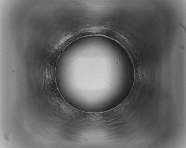 X0000102261158200808011358