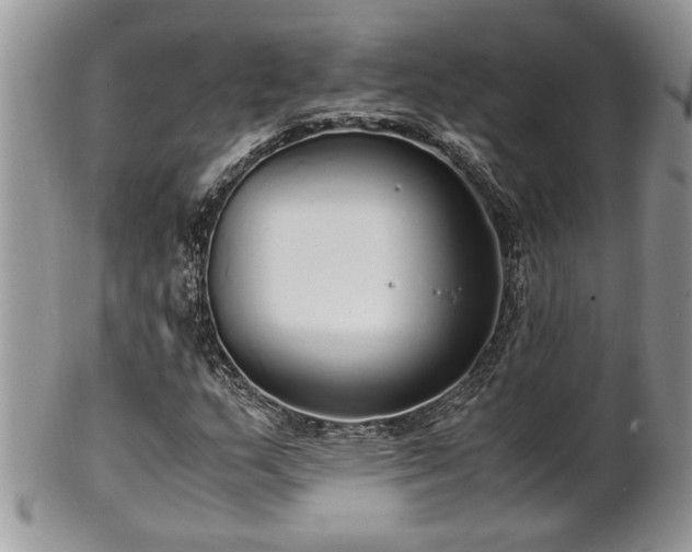 X0000102261159200808011358