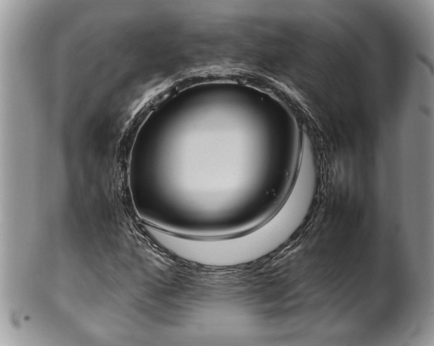 X0000102261160200808011358