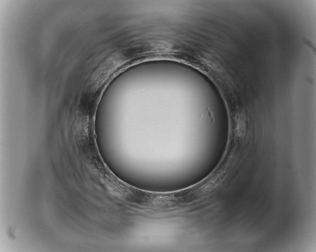 X0000102261161200808011358