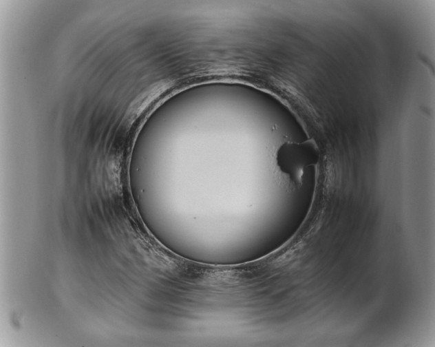 X0000102261162200808011358