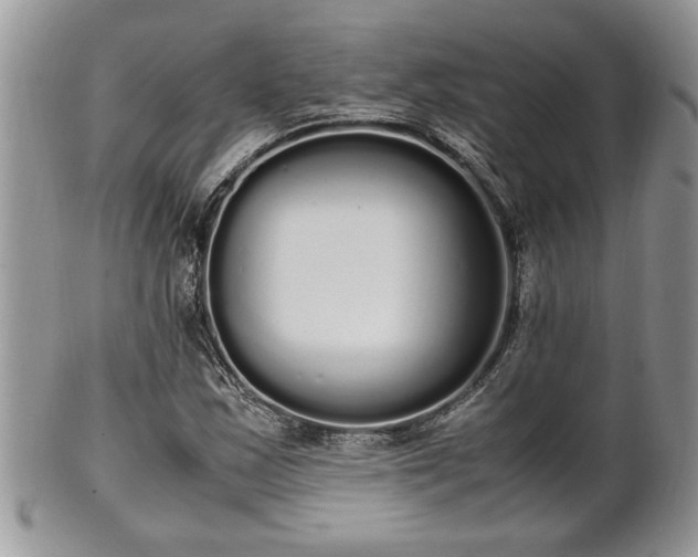 X0000102261163200808011358