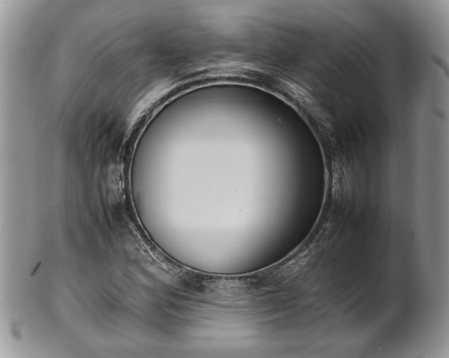 X0000102261164200808011358