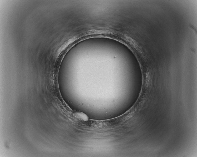 X0000102261165200808011358