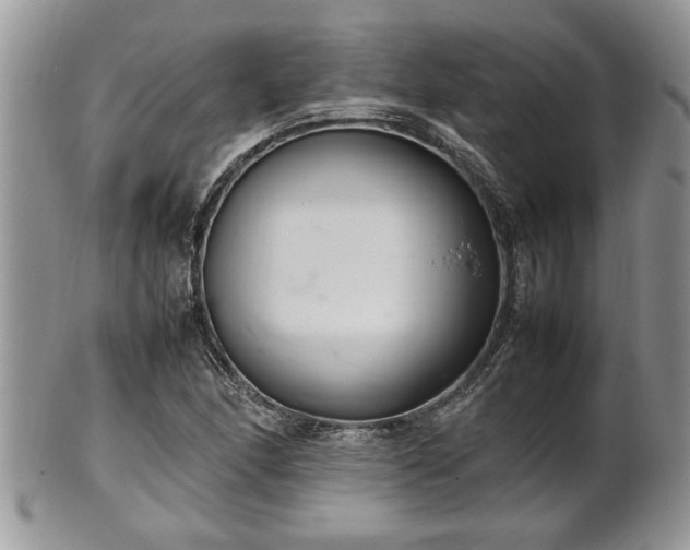 X0000102261166200808011358