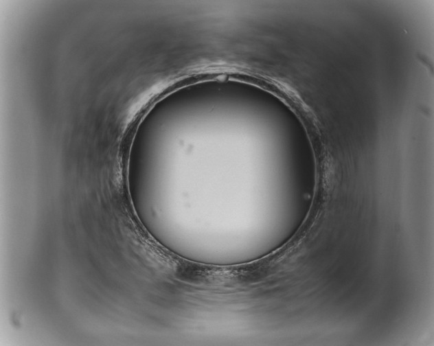 X0000102261167200808011358